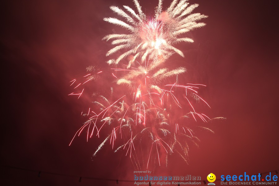 Schlossseefest 2010 mit Feuerwerk: Salem, 31.07.2010