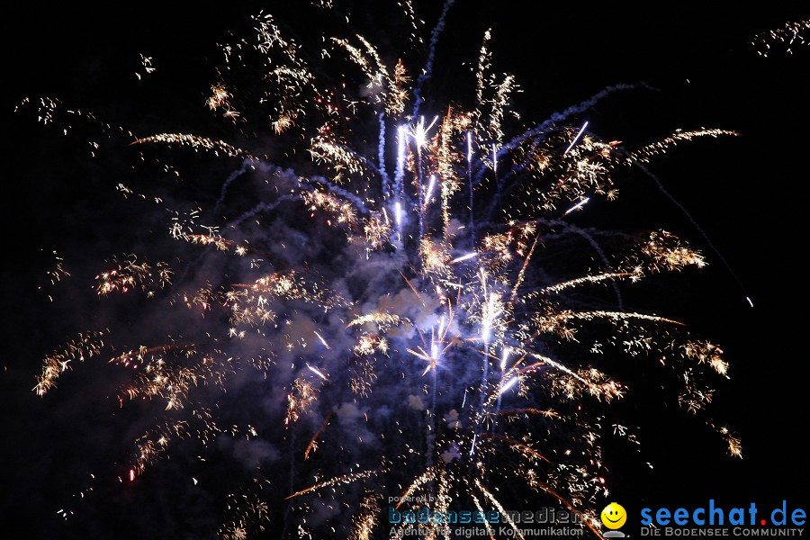 Schlossseefest 2010 mit Feuerwerk: Salem, 31.07.2010