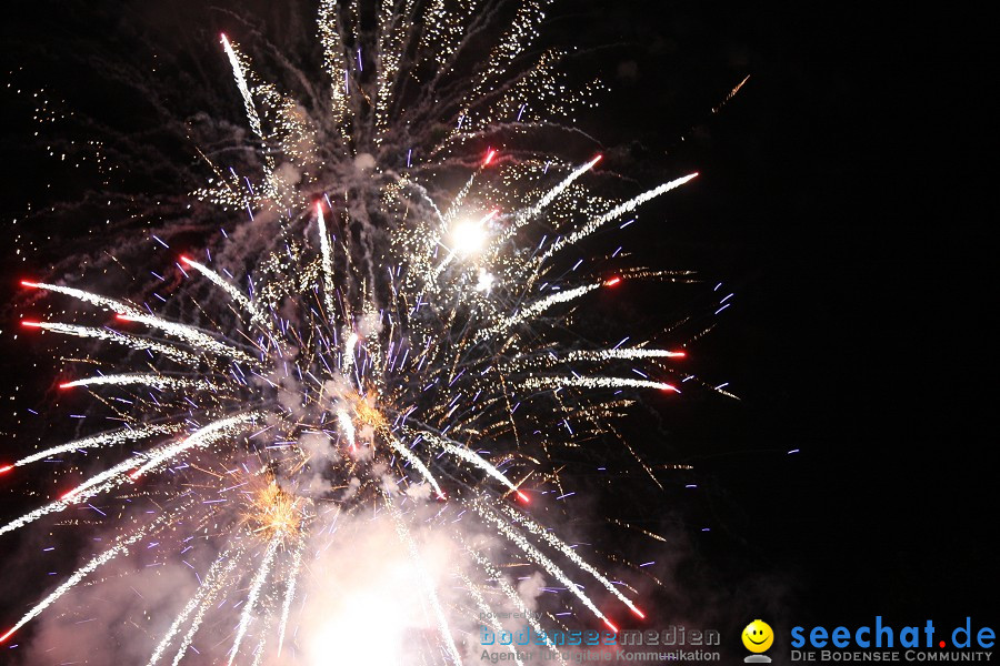 Schlossseefest 2010 mit Feuerwerk: Salem, 31.07.2010