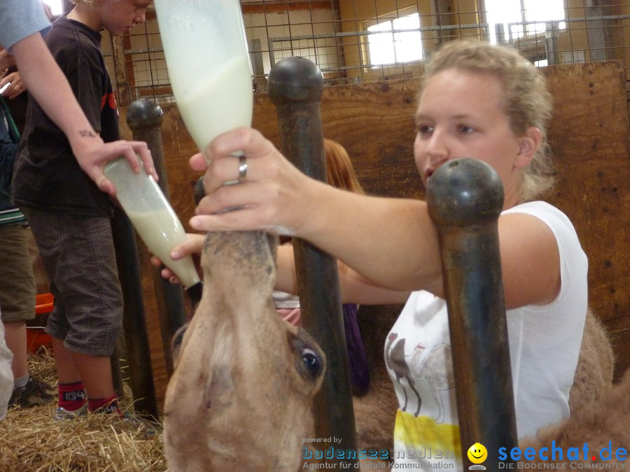 Afrikafest auf dem Kamelhof: Rotfelden, 06.08.2010