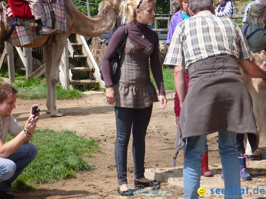 Afrikafest auf dem Kamelhof: Rotfelden, 06.08.2010