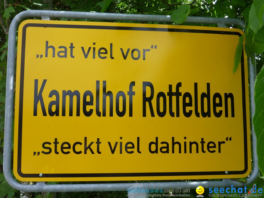 Afrikafest auf dem Kamelhof: Rotfelden, 06.08.2010