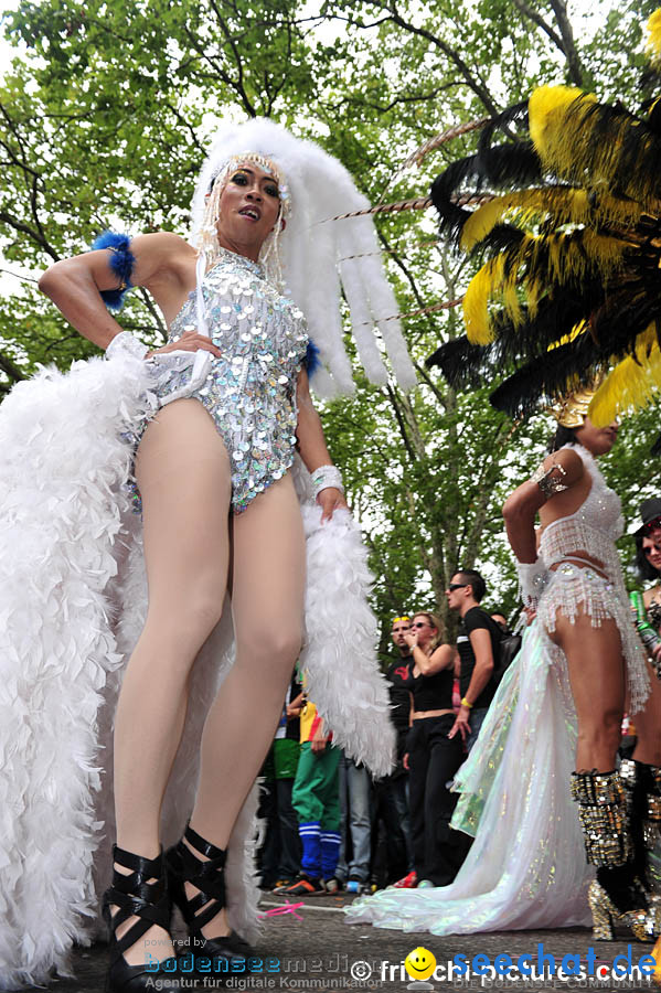 Streetparade-2010-Zuerich-14082010-Bodensee-Community-seechat_de-_54.jpg