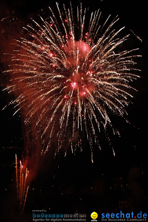 Feuerwerk-2010-Rheinfall-Schaffhausen-21082010-Bodensee-Community-seechat_de-IMG_8800.JPG