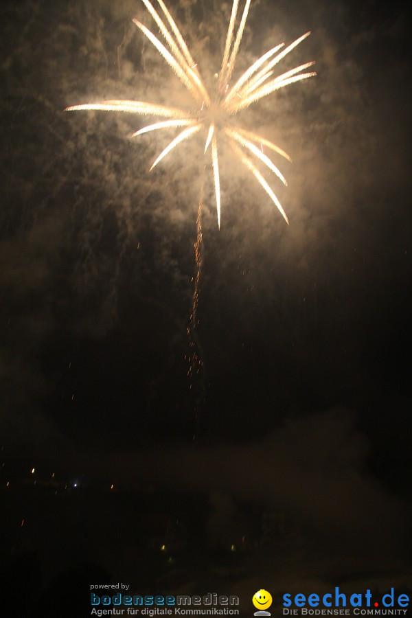 Feuerwerk-2010-Rheinfall-Schaffhausen-21082010-Bodensee-Community-seechat_de-IMG_8901.JPG