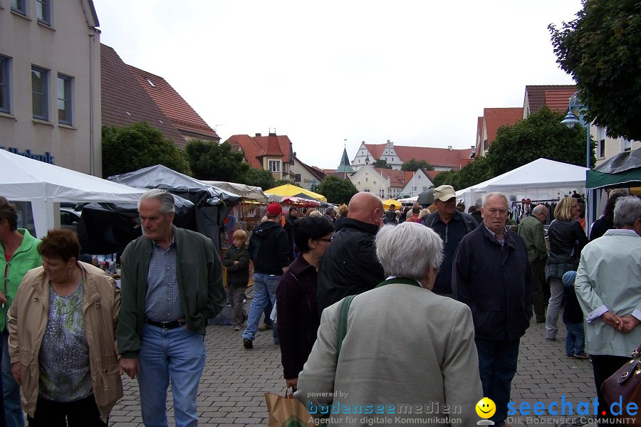 Herbstfest: Bad Buchau, 28.08.2010