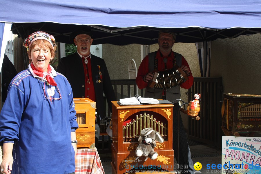 Stadtfest: Weingarten, 28.08.2010