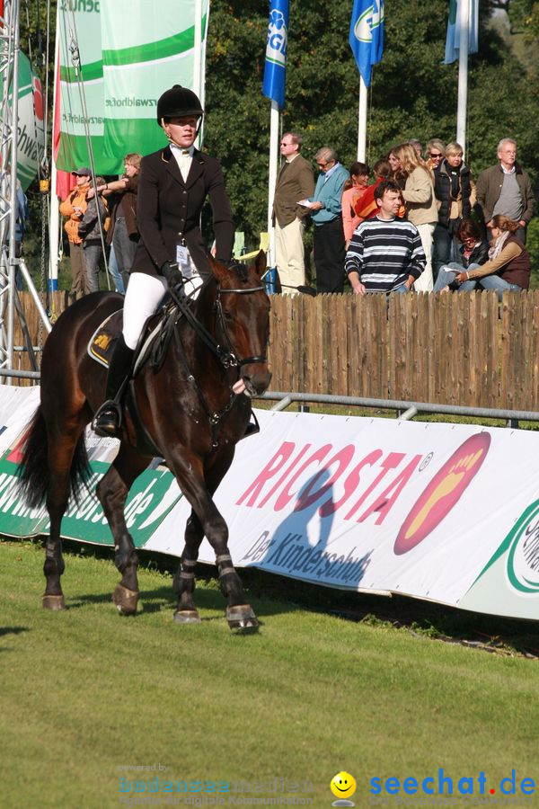 CHI-Donaueschingen Reitturnier 2010: Donaueschingen, 19.09.2010