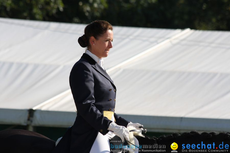 CHI-Donaueschingen Reitturnier 2010: Donaueschingen, 19.09.2010