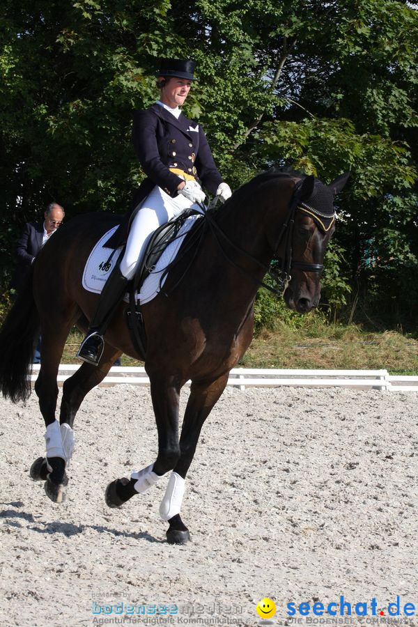 CHI-Donaueschingen Reitturnier 2010: Donaueschingen, 19.09.2010