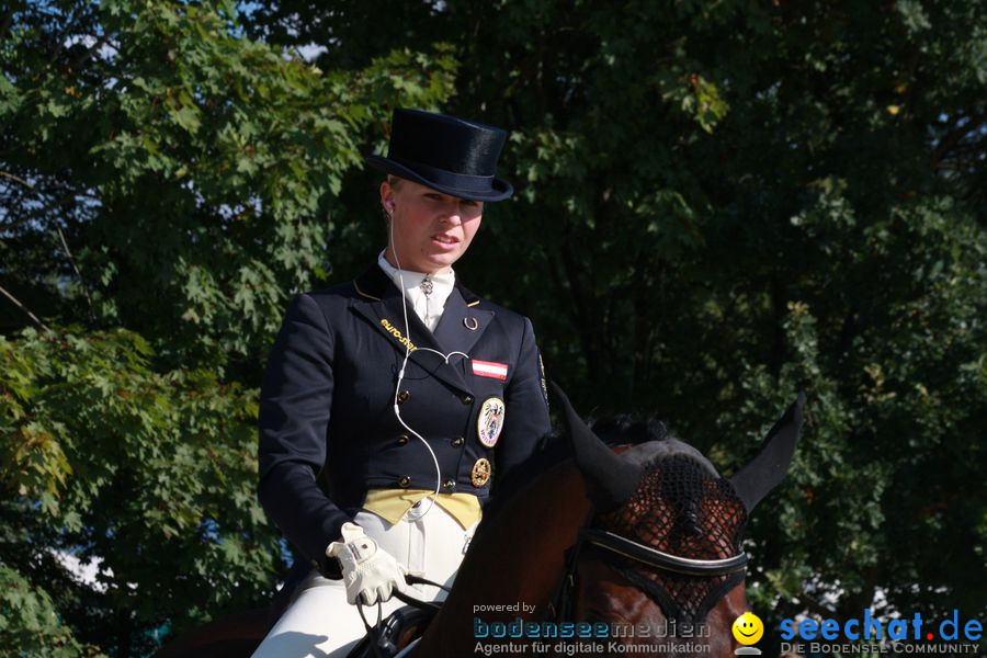 CHI-Donaueschingen Reitturnier 2010: Donaueschingen, 19.09.2010