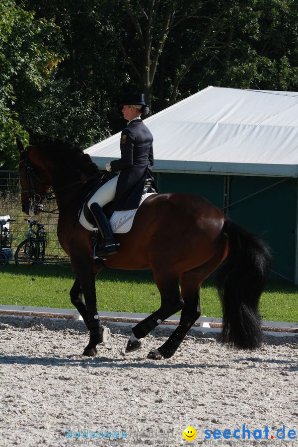 CHI-Donaueschingen Reitturnier 2010: Donaueschingen, 19.09.2010