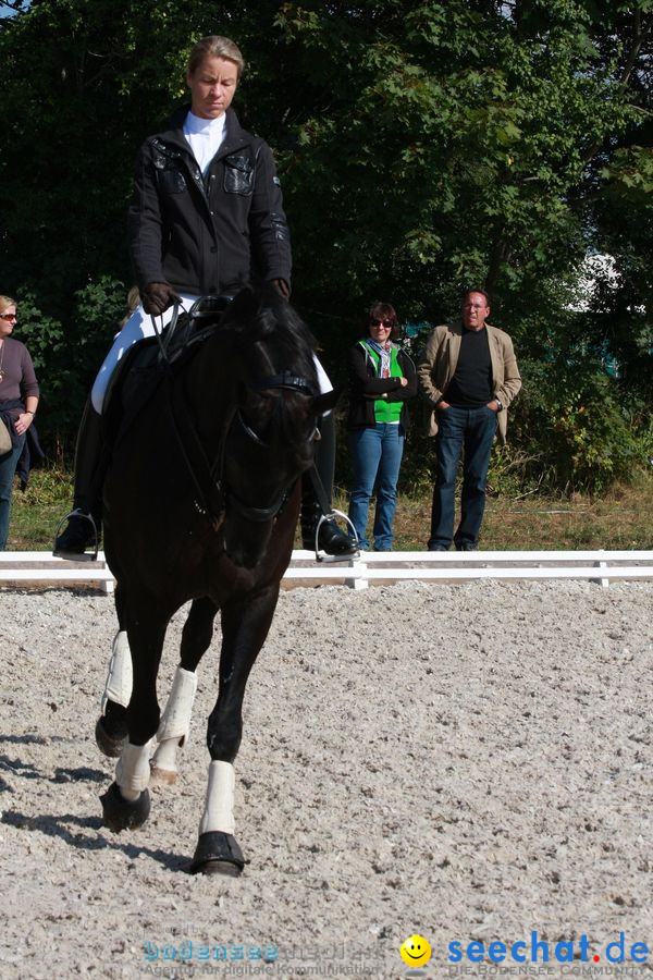 CHI-Donaueschingen Reitturnier 2010: Donaueschingen, 19.09.2010