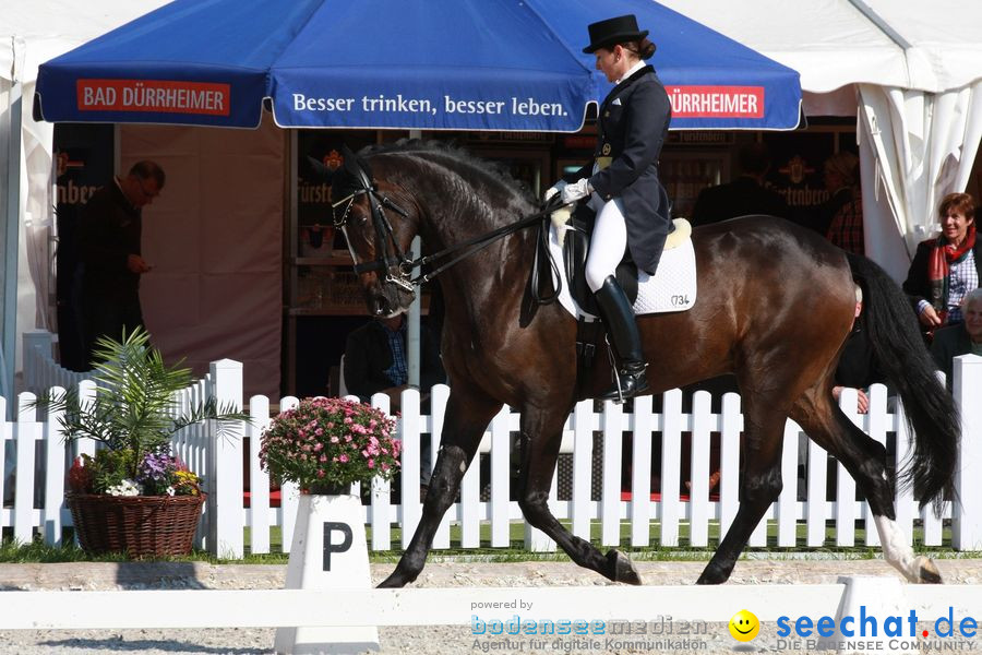 CHI-Donaueschingen Reitturnier 2010: Donaueschingen, 19.09.2010