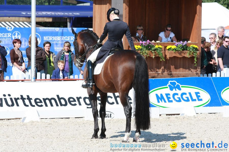 CHI-Donaueschingen Reitturnier 2010: Donaueschingen, 19.09.2010