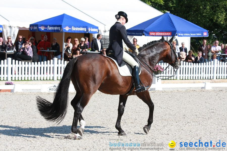 CHI-Donaueschingen Reitturnier 2010: Donaueschingen, 19.09.2010