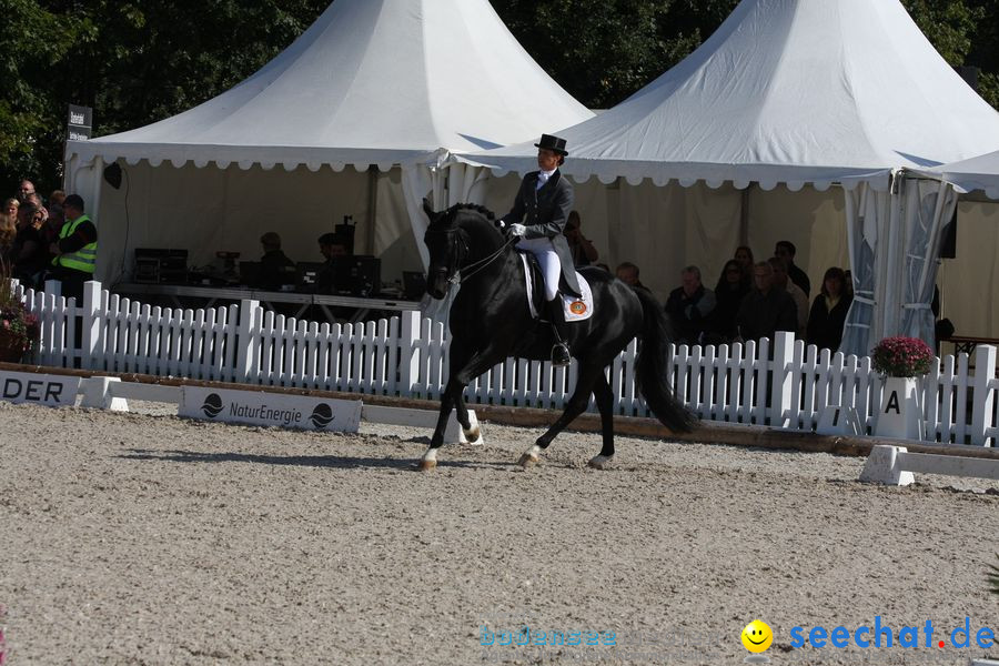 CHI-Donaueschingen Reitturnier 2010: Donaueschingen, 19.09.2010