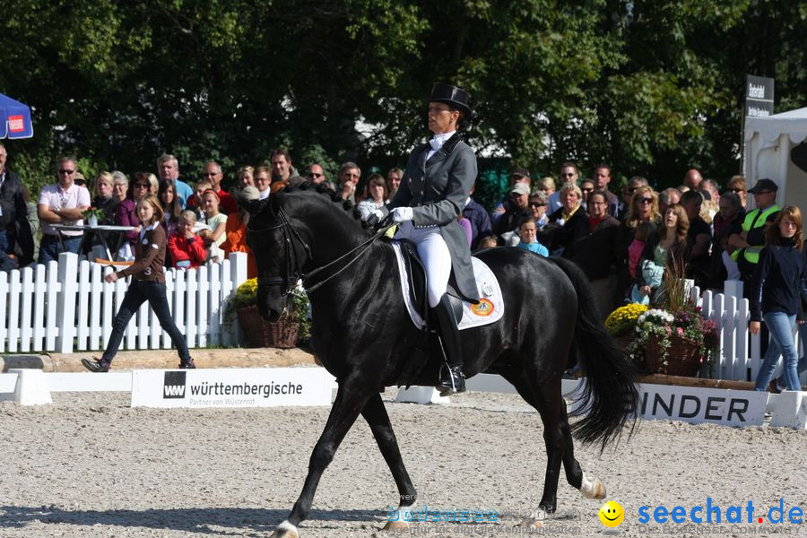 CHI-Donaueschingen Reitturnier 2010: Donaueschingen, 19.09.2010