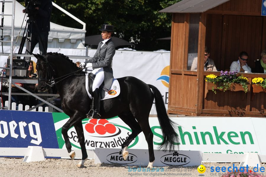 CHI-Donaueschingen Reitturnier 2010: Donaueschingen, 19.09.2010