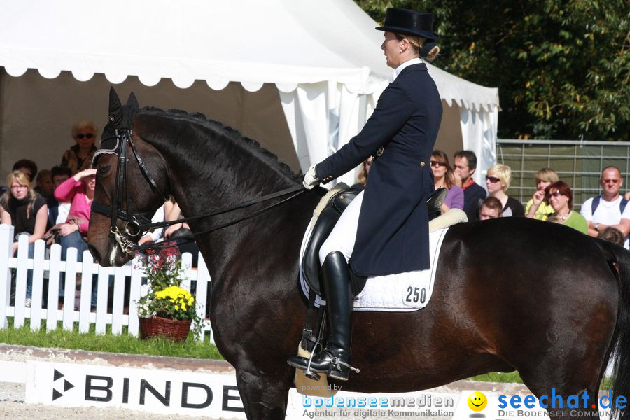 CHI-Donaueschingen Reitturnier 2010: Donaueschingen, 19.09.2010