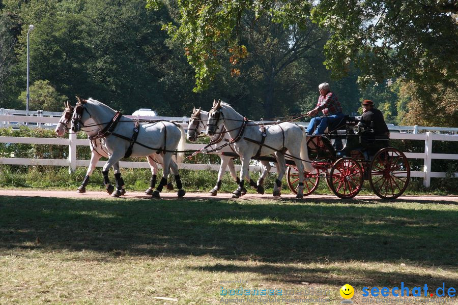 CHI-Donaueschingen Reitturnier 2010: Donaueschingen, 19.09.2010