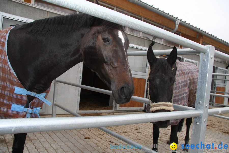 Reitstall-Forster-Steisslingen-Wiechs-10102010-Bodensee-Community-seechat_de-_05.JPG