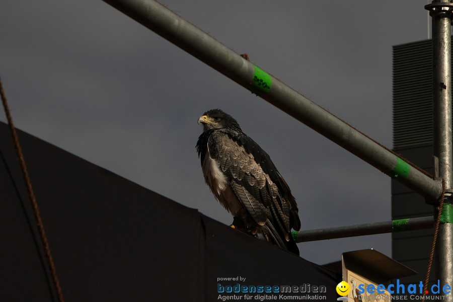 Photokina-Koeln-24092010-Bodensee-Community-seechat_de-_109.JPG