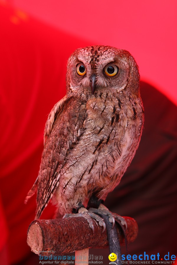 Photokina-Koeln-24092010-Bodensee-Community-seechat_de-_82.JPG