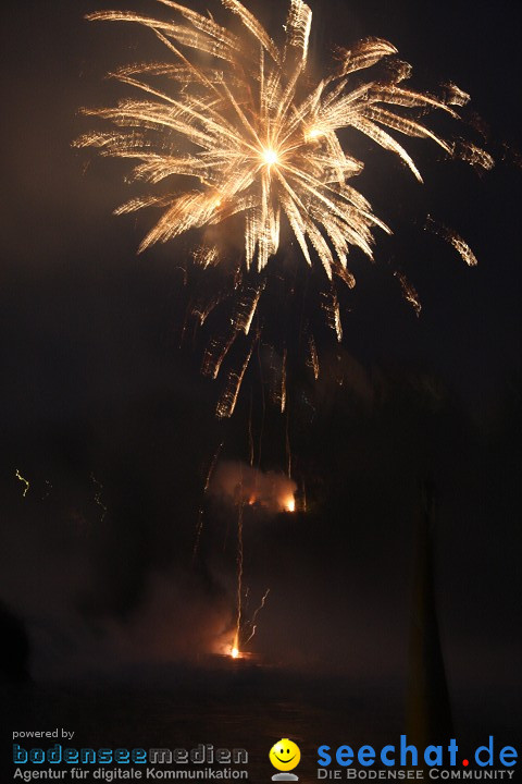 Rheinfallfeuerwerk 2008