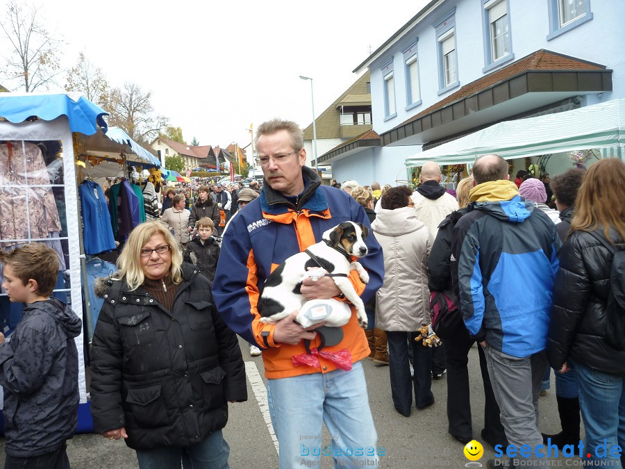 Schaetzelemarkt-Tengen-2010-23102010-Bodensee-Community-seechat_de-P1010999.JPG