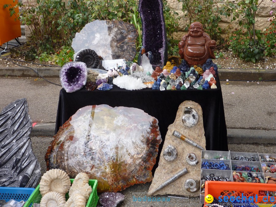 Schaetzelemarkt-Tengen-2010-23102010-Bodensee-Community-seechat_de-P1020061.JPG