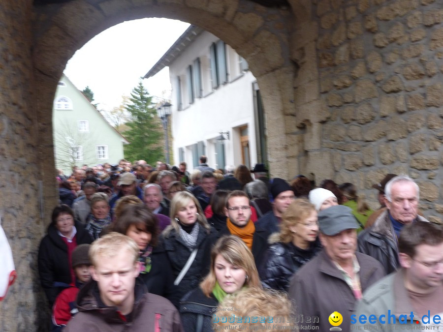 Schaetzelemarkt-Tengen-2010-23102010-Bodensee-Community-seechat_de-P1020091.JPG