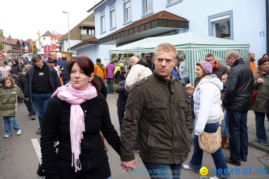 X2-Schaetzelemarkt-Tengen-2010-23102010-Bodensee-Community-seechat_de-P1020136.JPG