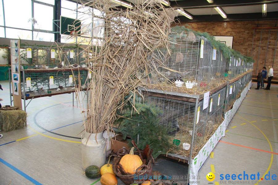 Vogelschau: Ailingen bei Friedrichshafen, 07.11.2010