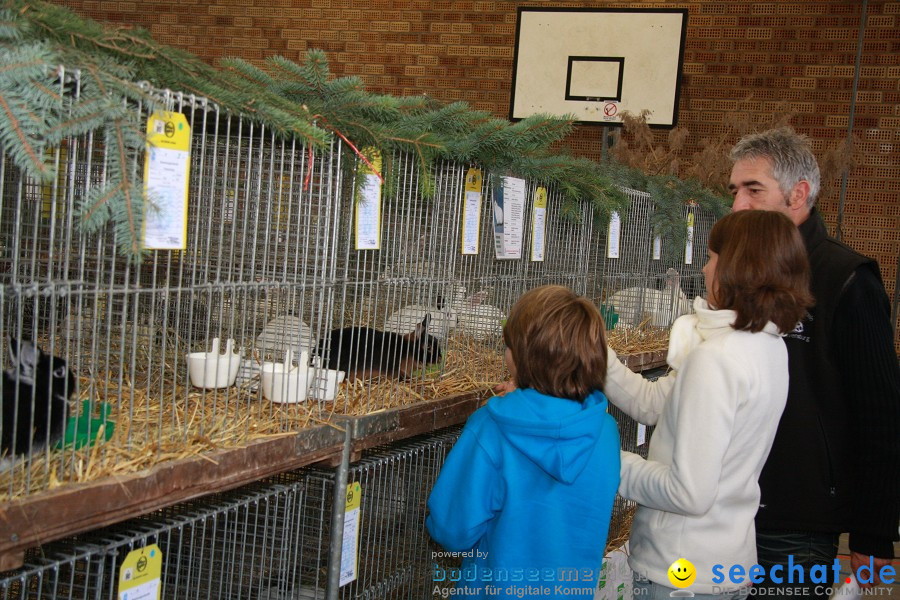 Vogelschau: Ailingen bei Friedrichshafen, 07.11.2010