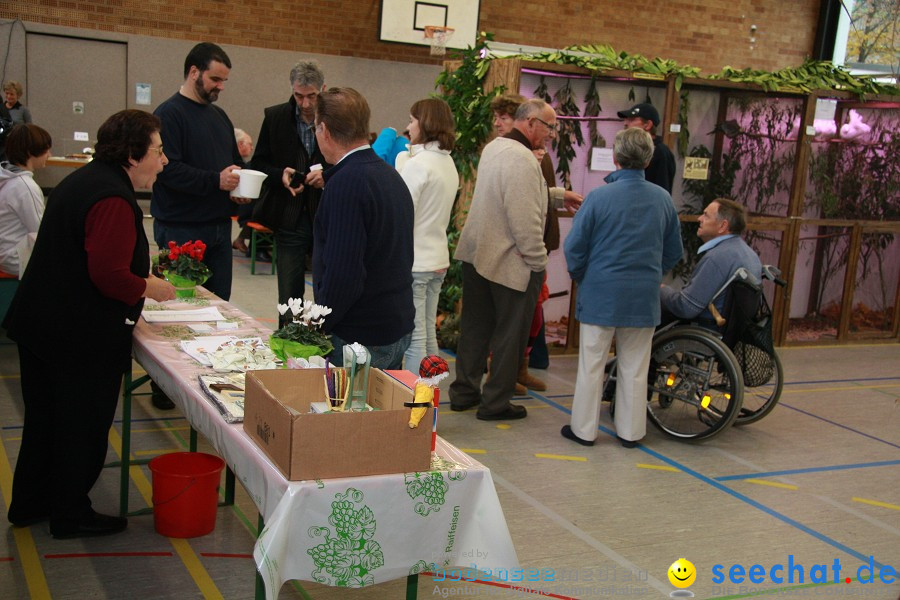 Vogelschau: Ailingen bei Friedrichshafen, 07.11.2010