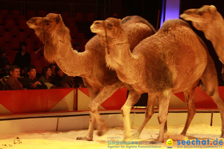 Weihnachtscircus-Ravensburg mit Radio7-Drachenkinder-Gala: Ravensburg, 22.1