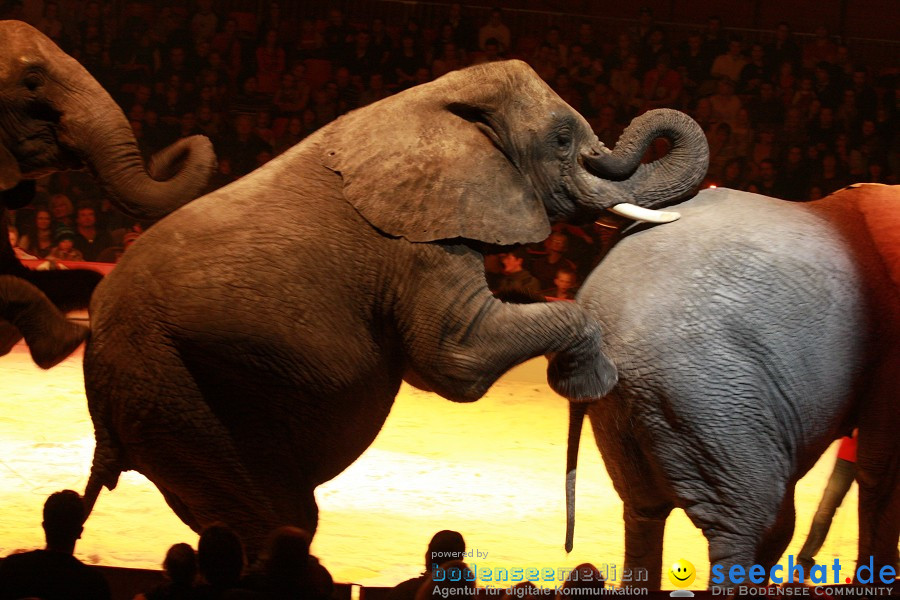 Weihnachtscircus-Ravensburg mit Radio7-Drachenkinder-Gala: Ravensburg, 22.1