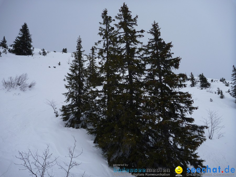 DIEDAMSKOPF - SKITAG: Au-Schoppernau-Oesterreich, 28.12.2010