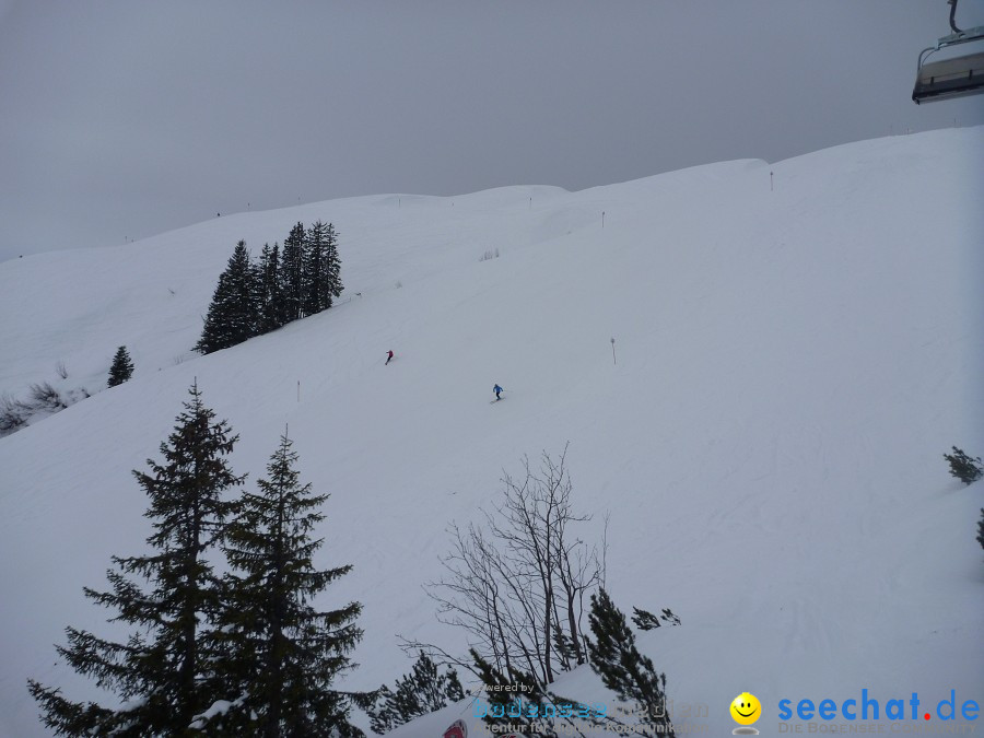 DIEDAMSKOPF - SKITAG: Au-Schoppernau-Oesterreich, 28.12.2010