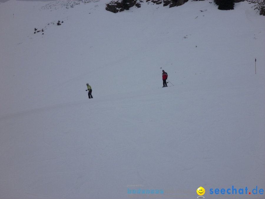 DIEDAMSKOPF - SKITAG: Au-Schoppernau-Oesterreich, 28.12.2010