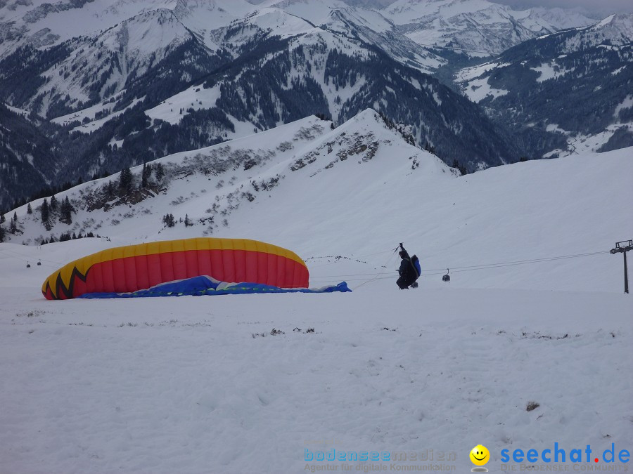 DIEDAMSKOPF - SKITAG: Au-Schoppernau-Oesterreich, 28.12.2010