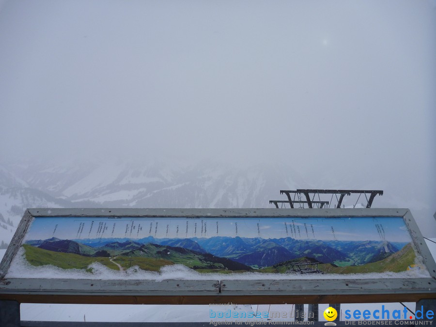 DIEDAMSKOPF - SKITAG: Au-Schoppernau-Oesterreich, 28.12.2010