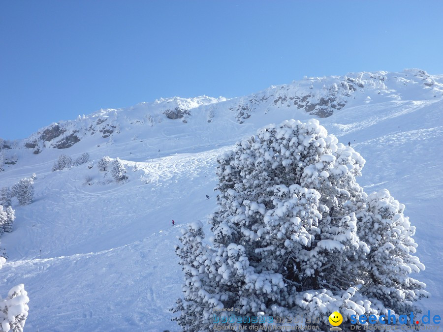 Skimax Perfect Sunday: Warth im Arlberg, 22.01.2011