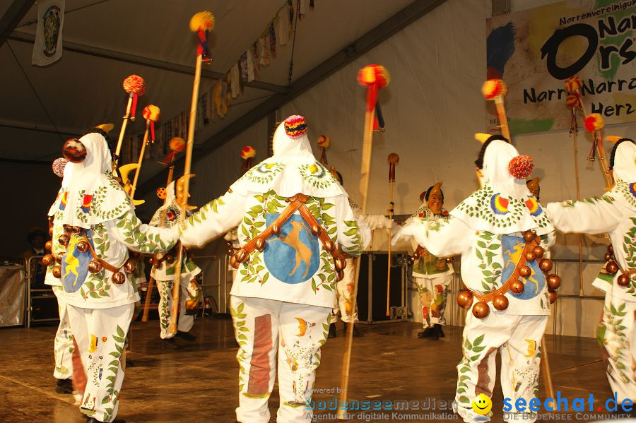 Narrentage: Orsingen am Bodensee, 28.01.2011