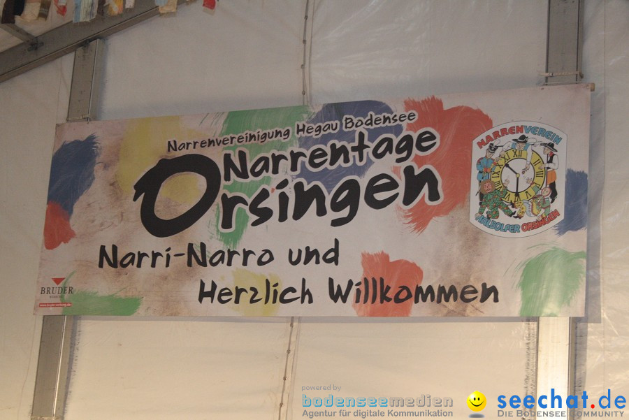 Narrentage: Orsingen am Bodensee, 28.01.2011