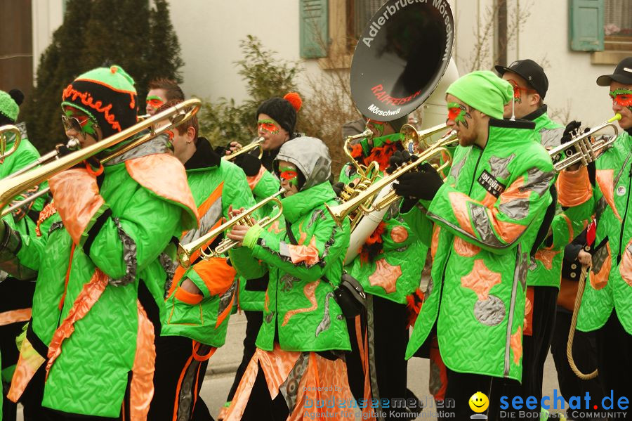 Narrenbaumstellen: Orsingen am Bodensee, 29.01.2011