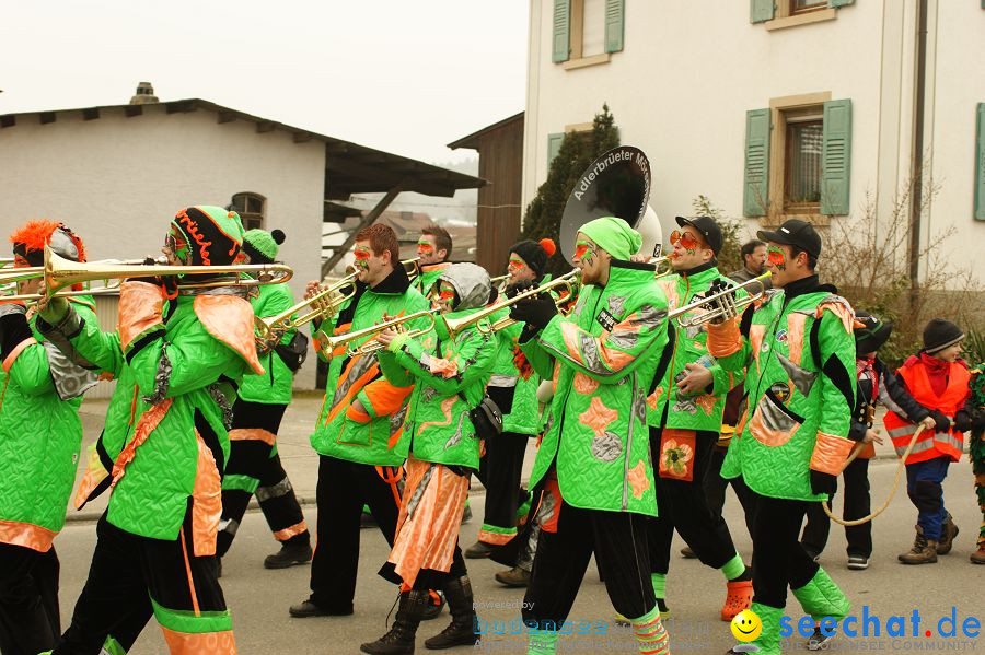 Narrenbaumstellen: Orsingen am Bodensee, 29.01.2011