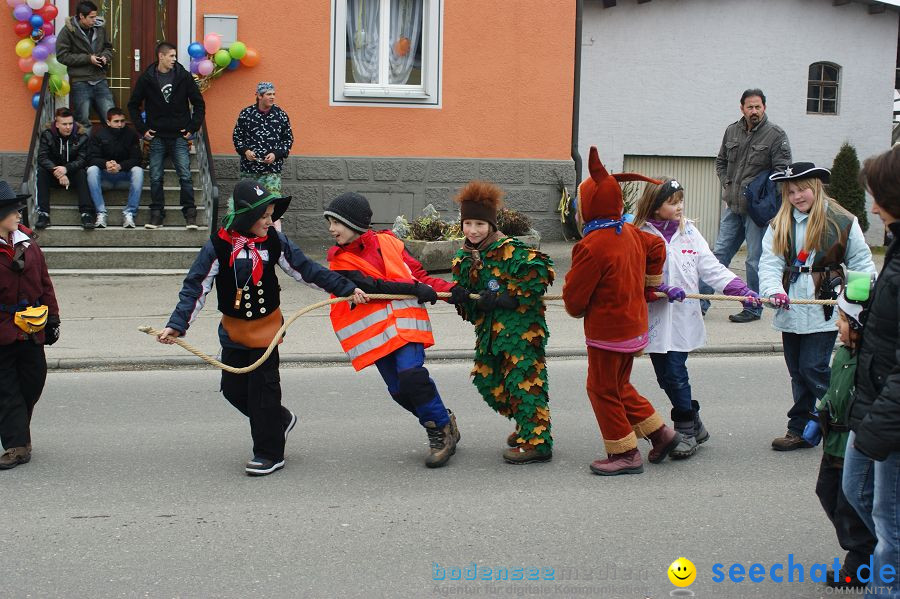 Narrenbaumstellen: Orsingen am Bodensee, 29.01.2011