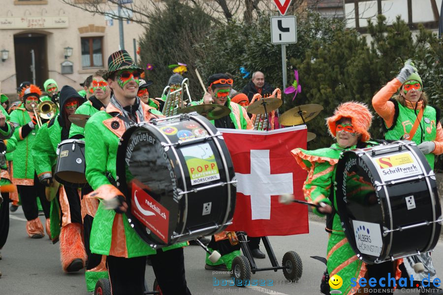 Narrenbaumstellen: Orsingen am Bodensee, 29.01.2011